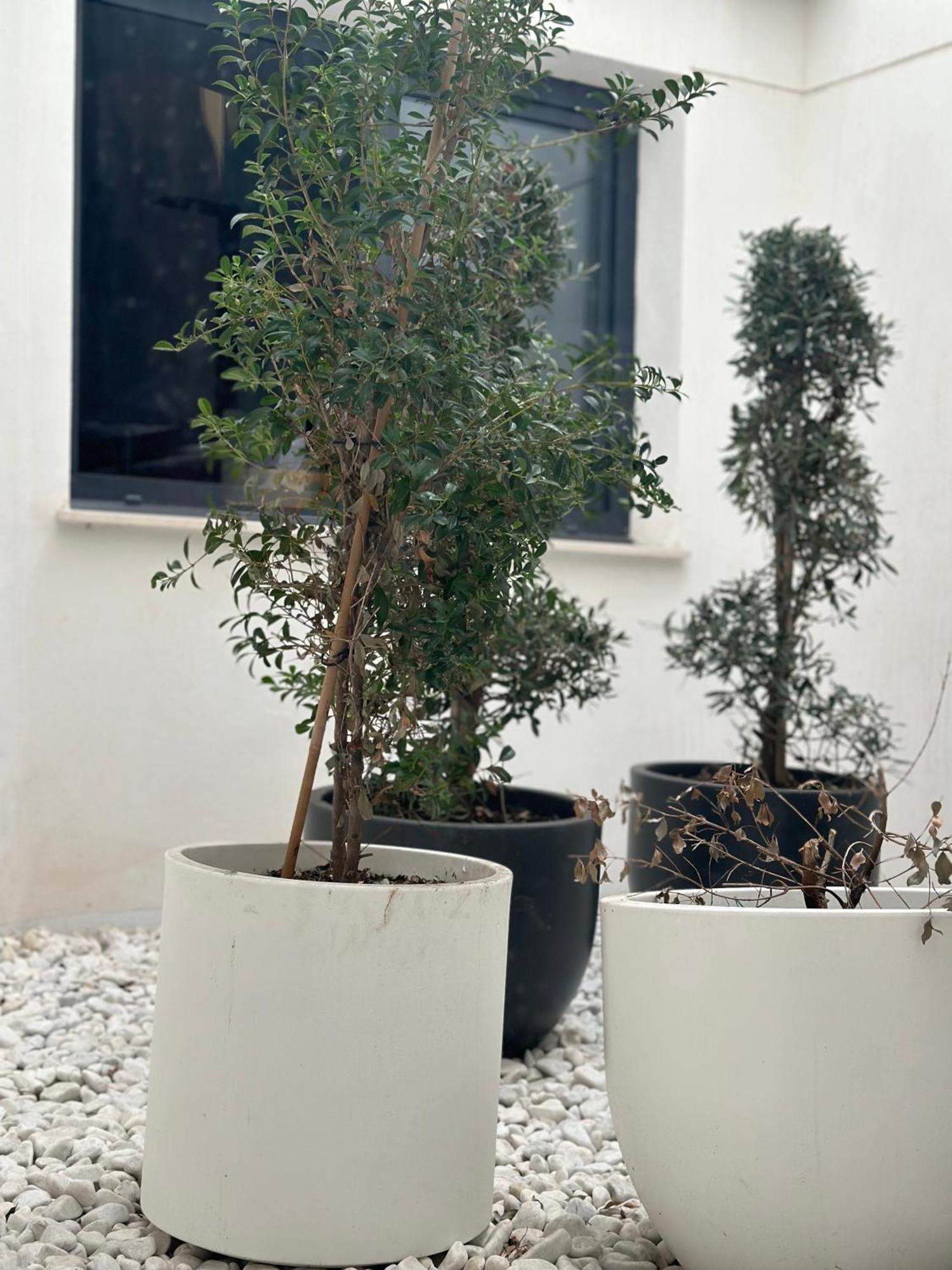 Hostel Alicante Eksteriør bilde